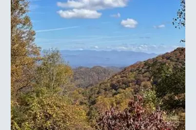 580 Freemont Drive #80, Leicester, NC 28748 - Photo 2