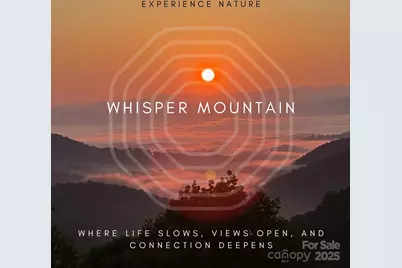 580 Freemont Drive #80, Leicester, NC 28748 - Photo 48