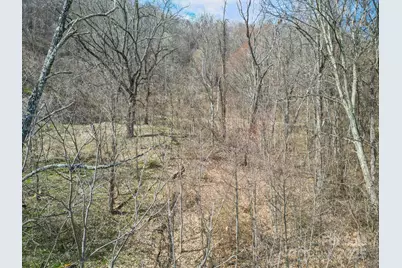 580 Freemont Drive #80, Leicester, NC 28748 - Photo 36