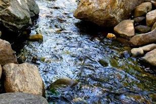 178 Waightstill Dr, Arden, NC 28704 - Photo 32