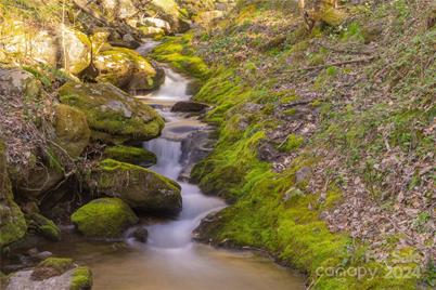 00 Buff Creek Road, Sylva, NC 28779 - Photo 6