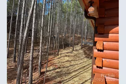 132 Chasewood Drive, Rutherfordton, NC 28139 - Photo 36