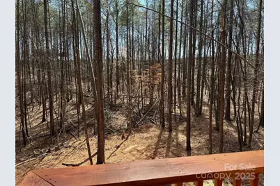 132 Chasewood Drive, Rutherfordton, NC 28139 - Photo 38