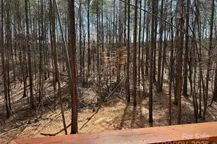 132 Chasewood Dr, Rutherfordton, NC 28139 - Photo 38