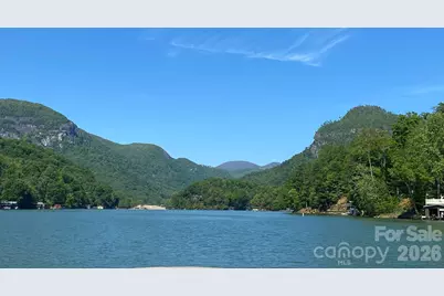 132 Chasewood Drive, Rutherfordton, NC 28139 - Photo 38