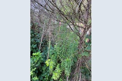 000 Capps Road, Bessemer City, NC 28016 - Photo 4