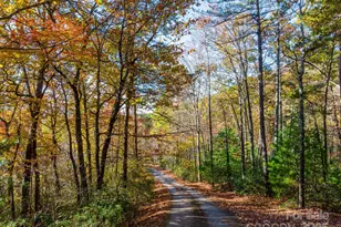 2464 Bridle Ridge Way, Lenoir, NC 28645 - Photo 4