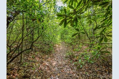 999 Big Hill Road, Brevard, NC 28712 - Photo 16