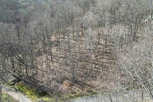 3 Chestnut Village Ln, Mars Hill, NC 28754 - Photo 6