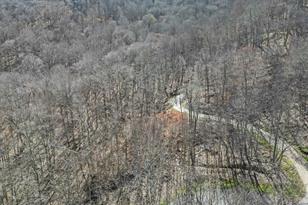 3 Chestnut Village Ln, Mars Hill, NC 28754 - Photo 8