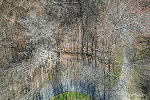 10 Chestnut Village Ln, Mars Hill, NC 28754 - Photo 10