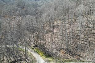 10 Chestnut Village Ln, Mars Hill, NC 28754 - Photo 8