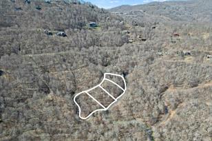 15 Chestnut Village Ln, Mars Hill, NC 28754 - Photo 4