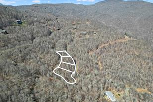 16 Chestnut Village Ln, Mars Hill, NC 28754 - Photo 14