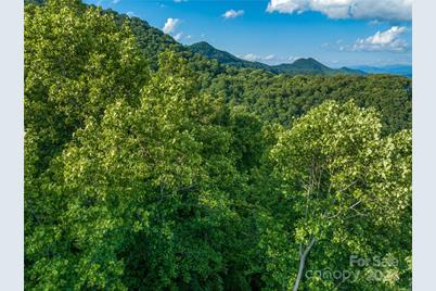 9999-29 Lovebird Lane #29, Canton, NC 28716 - Photo 8
