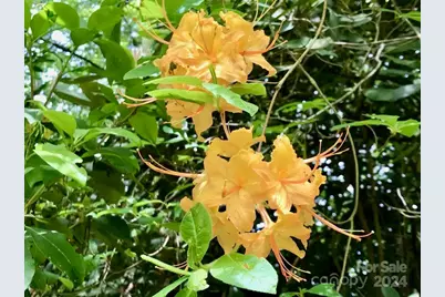 350 Henredon Road, Spruce Pine, NC 28777 - Photo 40