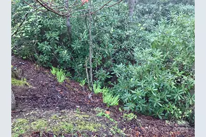 350 Henredon Road, Spruce Pine, NC 28777 - Photo 42