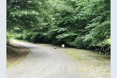 350 Henredon Road, Spruce Pine, NC 28777 - Photo 44