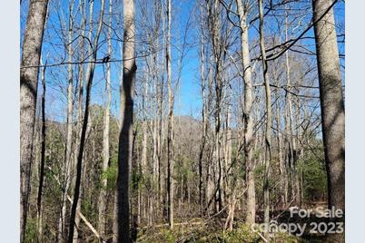 000 Harleys Cove Road #Lot 21, Waynesville, NC 28785 - Photo 1