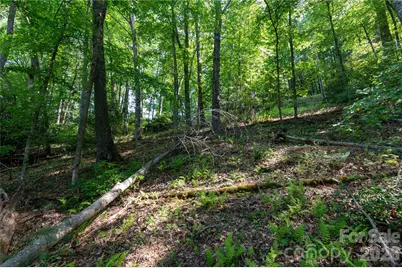 00 Deer Park Lake Road, Spruce Pine, NC 28777 - Photo 14