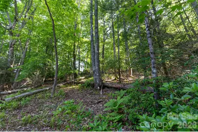 00 Deer Park Lake Road, Spruce Pine, NC 28777 - Photo 16