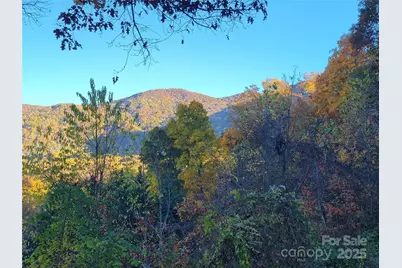 144 Ruffed Grouse Lane, Waynesville, NC 28786 - Photo 38