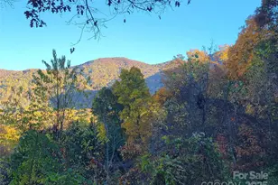 144 Ruffed Grouse Ln, Waynesville, NC 28786 - Photo 38