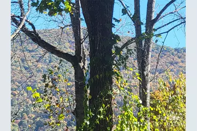 144 Ruffed Grouse Lane, Waynesville, NC 28786 - Photo 42