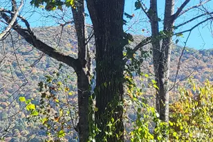 144 Ruffed Grouse Ln, Waynesville, NC 28786 - Photo 42