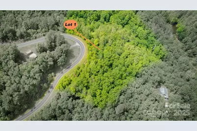 Lot 1 Reynolds Parkway, Ferguson, NC 28624 - Photo 10