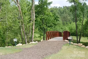 48 Creekside View Dr, Asheville, NC 28804 - Photo 34