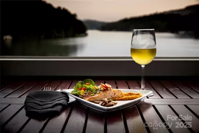 Lot 124, 125, & 101 Banjo Court, Lake Lure, NC 28746 - Photo 18