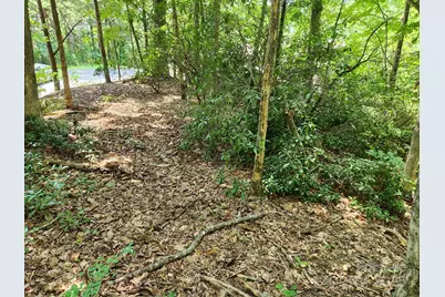 Lot 124, 125, & 101 Banjo Court, Lake Lure, NC 28746 - Photo 6