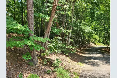 Lot 124, 125, & 101 Banjo Court, Lake Lure, NC 28746 - Photo 2