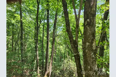 Lot 117, 118, & 132 Summit Court, Lake Lure, NC 28746 - Photo 4