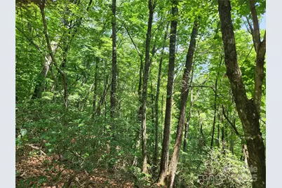 Lot 117, 118, & 132 Summit Court, Lake Lure, NC 28746 - Photo 2