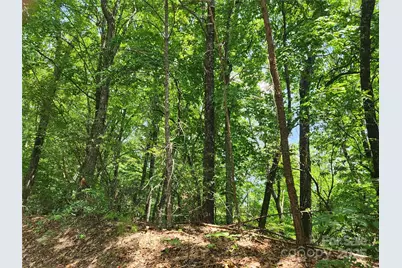 Lot 117, 118, & 132 Summit Court, Lake Lure, NC 28746 - Photo 6