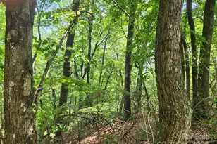 Lot 117 118 & 132 Summit Ct, Lake Lure, NC 28746 - Photo 1