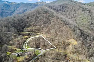 580 Freemont Dr, Leicester, NC 28748 - Photo 28