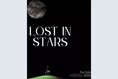 580 Freemont Drive, Leicester, NC 28748 - Photo 46