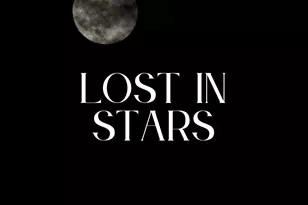 580 Freemont Dr, Leicester, NC 28748 - Photo 46