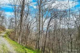 580 Freemont Dr, Leicester, NC 28748 - Photo 30