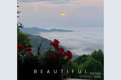 580 Freemont Drive, Leicester, NC 28748 - Photo 42