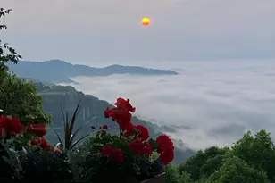 580 Freemont Dr, Leicester, NC 28748 - Photo 42