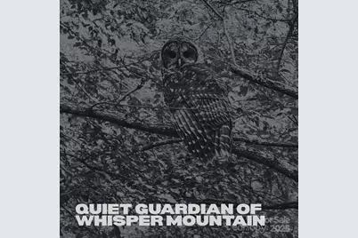 580 Freemont Drive, Leicester, NC 28748 - Photo 44