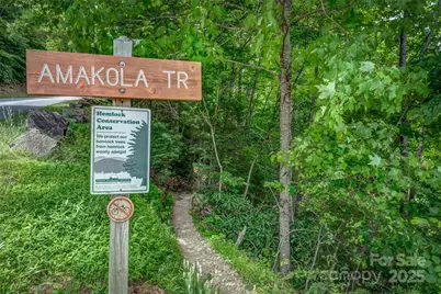 406 Tlvdatsi Drive, Brevard, NC 28712 - Photo 18