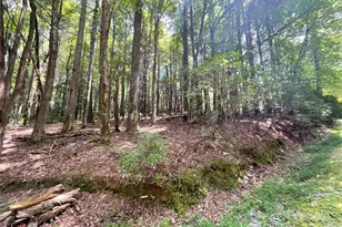 406 Tlvdatsi Dr, Brevard, NC 28712 - Photo 1