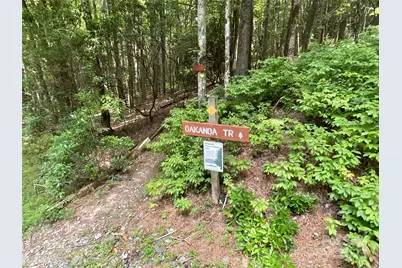 406 Tlvdatsi Drive, Brevard, NC 28712 - Photo 6