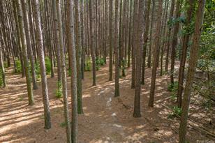 2756 Peachtree Rd, Statesville, NC 28625 - Photo 8