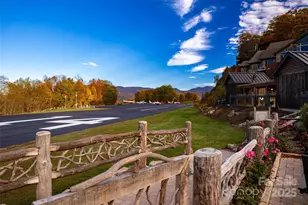 616 Old Growth Forest Rd, Burnsville, NC 28714 - Photo 46